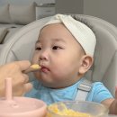 맘마쿡 | 아기 이유식 시작시기 이유식 전기 찜기 믹서기 베이비무브 쿡마스터플러스