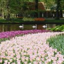 횡성호수길 주차장 화장실 이미지