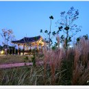 매향리 평화생태공원 이미지