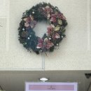 지에스25가로수길점 이미지