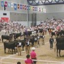 화우농장 이미지