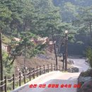 순천자연휴양림 이미지