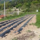 가실농장 이미지