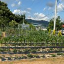 공주 밤나무골 황토집 이미지