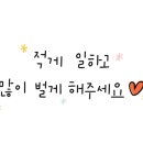 더 데일리 왁싱