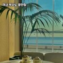 쿠바프레소 이미지