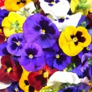 충청남도 서부 장애인종합복지관 | 보령 충남서부장애인종합복지관 토탈공예 출강~~^^