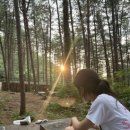 호명산잣나무숲속캠핑장 이미지
