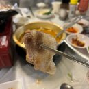 막심공덕역 | 공덕역 맛집 막심 레트로한 분위기와 막창,목살,냉삼 한판 후기