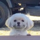 왕십리할매곱창 이미지