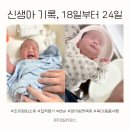 신생아 육아 조리원 퇴소 국민 육아템 후기 A2분유 변비