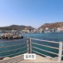 칠포항펜션 티스토리