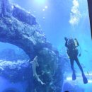 일거양득
