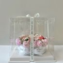 잠신병설유치원 이미지