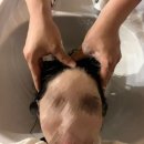 정화준 토탈케어센터