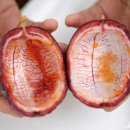 신선농장 이미지