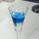 바리스타 실기 (오전) | [내일배움카드/조주기능사 실기] 영등포 뉴욕바리스타베버리지학원 수강 후기_(feat. 나 자격증 땄어요!)