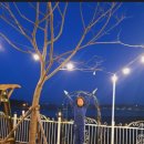 비토섬마린블루펜션 이미지