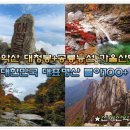 10/31[금무]설악산(블야100)+대청봉+공룡능선-산행안내/좌석표 이미지