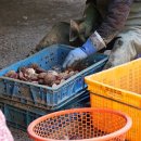 아람유통 이미지