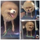 좌수영로 이미지