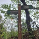 오봉산 칼바위 주차장 화장실 | 언제 가도 좋다. 보성 오봉산 &amp; 해평호 둘레길 원점회귀 산행