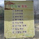 수락원 | [충남 아산] 신정호 근처 들깨수제비 맛집 수락원 내돈내산 후기