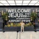 원일농장 | [아이랑 4박5일 제주도 동쪽 여행]여행 전 준비_항공권, 숙소, 렌트 예약, 4박 5일 일정짜기