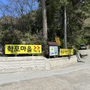 강릉의료원(버스정류장) | 울릉도 2일차, "학포야영장" 상세한 후기 (뷰, 사이트, 학포해변 등 유용한정보 모음)