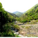 두척계곡 이미지