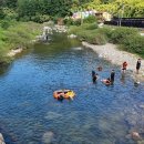 자일팜 | 포스트바이오틱스유산균 지엠팜 커플유산균 챙기기