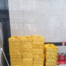 구성과일상회 이미지