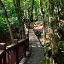 휴양림길 이미지