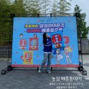 삼성라이온즈파크 삼성라이온즈와 함께하는 농심 배홍동데이 행사 및 블루존 3-6구역 31열 2,3번 시야 후기
