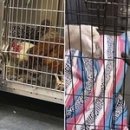 치유동물병원 이미지