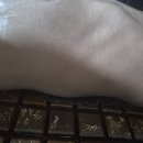 벨루스톤힐링카페 이미지