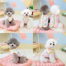 코코와 나비 이미지