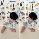 그랑아 | 아기병풍추천 마이앤트 쁘띠아코 그랑아코 두돌까지 활용한 내돈내산 후기