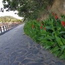 파도사랑 민박 이미지