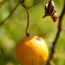 하늘지기 이미지