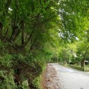 남원자연휴양림 이미지