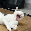 두리안모텔 이미지