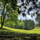 고려회관 이미지