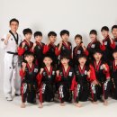 용인대현대태권도 이미지