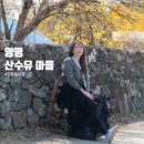 경기 양평 산수유 정보화마을 네이버블로그