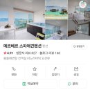 라피네 애견스파 이미지