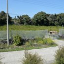 하례2리 이미지