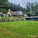 대명노르웨이숲 이미지