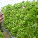 둥지농원 이미지