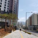 구파발성모약국 이미지